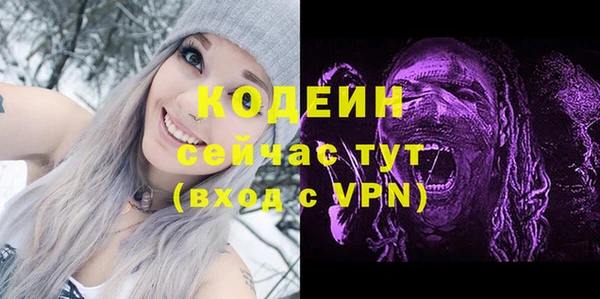 хмурый Ладушкин